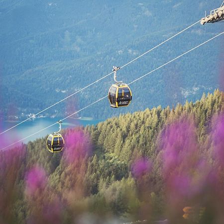Apartement Zwoelferhorn Sankt Gilgen Exteriör bild